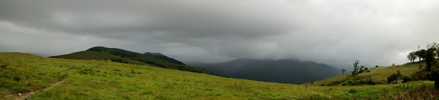 IMG_20140727_130139906