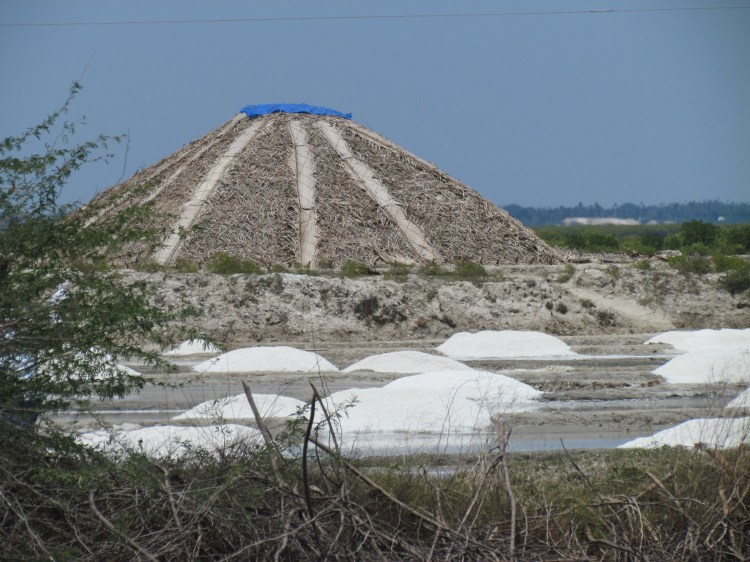 Salt dune