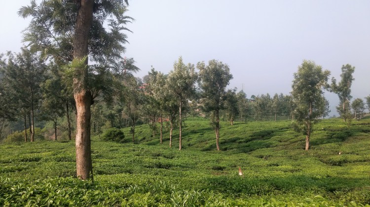 IMG_20170416_084354590