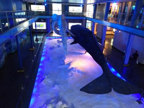 IMG_20180916_130945654