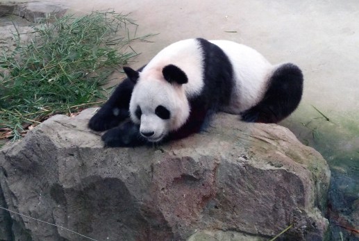 IMG_20180916_142142926