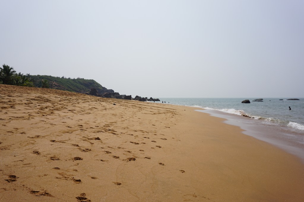 This image has an empty alt attribute; its file name is dsc04593.jpg