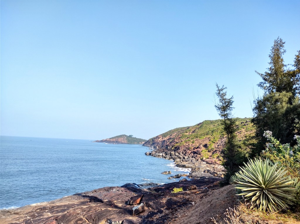 This image has an empty alt attribute; its file name is img_20210125_090856461_hdr.jpg