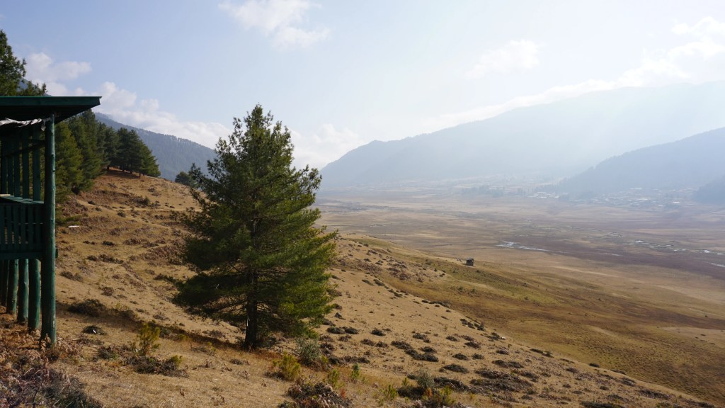 Black Necked Crane View point Phobjhika Valley