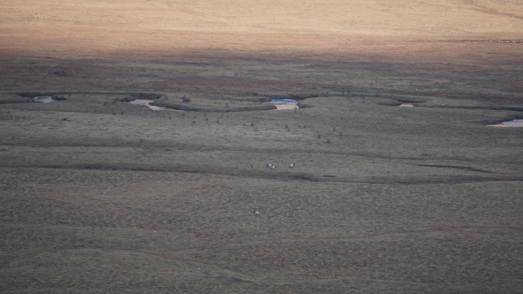 Black Necked Crane Information Centre, Gangtey, Bhutan