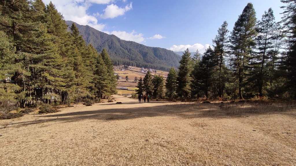 Beautiful Gangtey Nature Trail