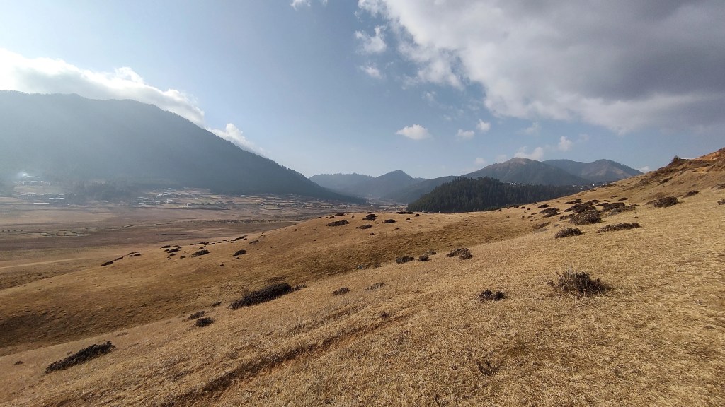 Breeding Ground of Black Necked Crane , Gangtey