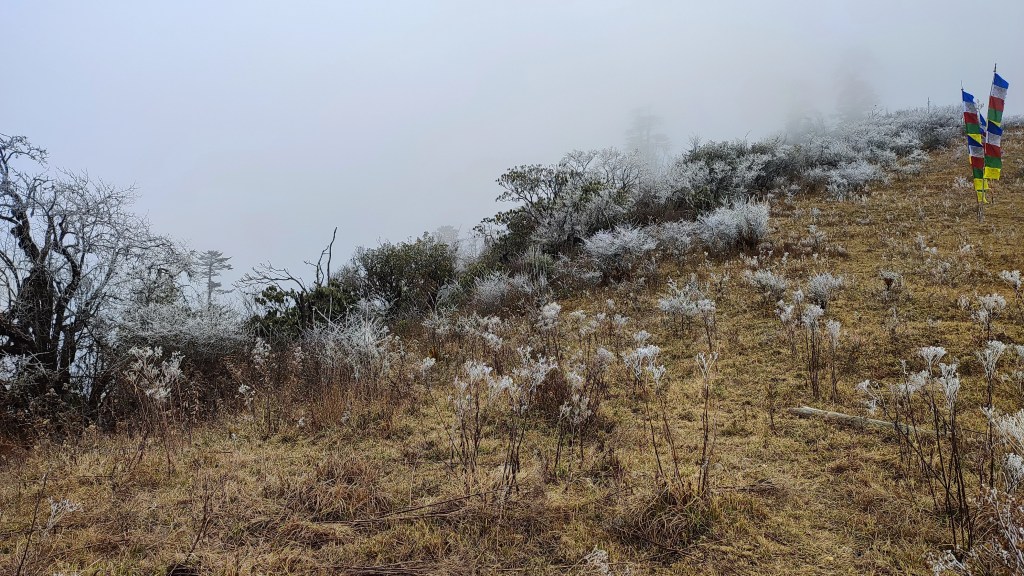Snow Fall at Phobjhika Valley