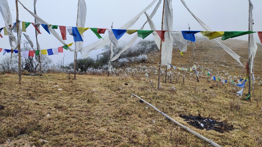 Snow Fall at Phobjhika Valley