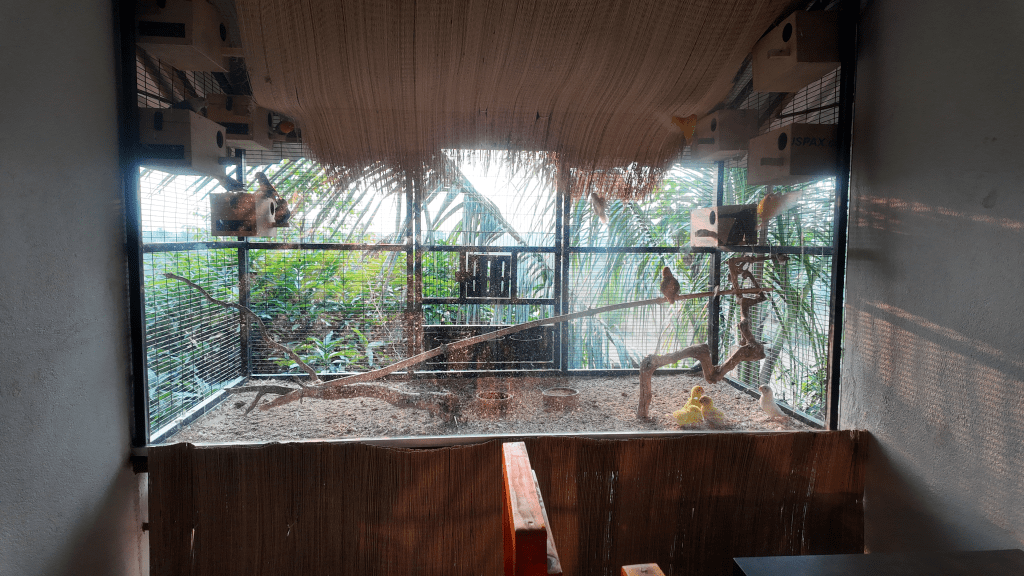 Bird Cage in the Malgoba room of Suggee Resort