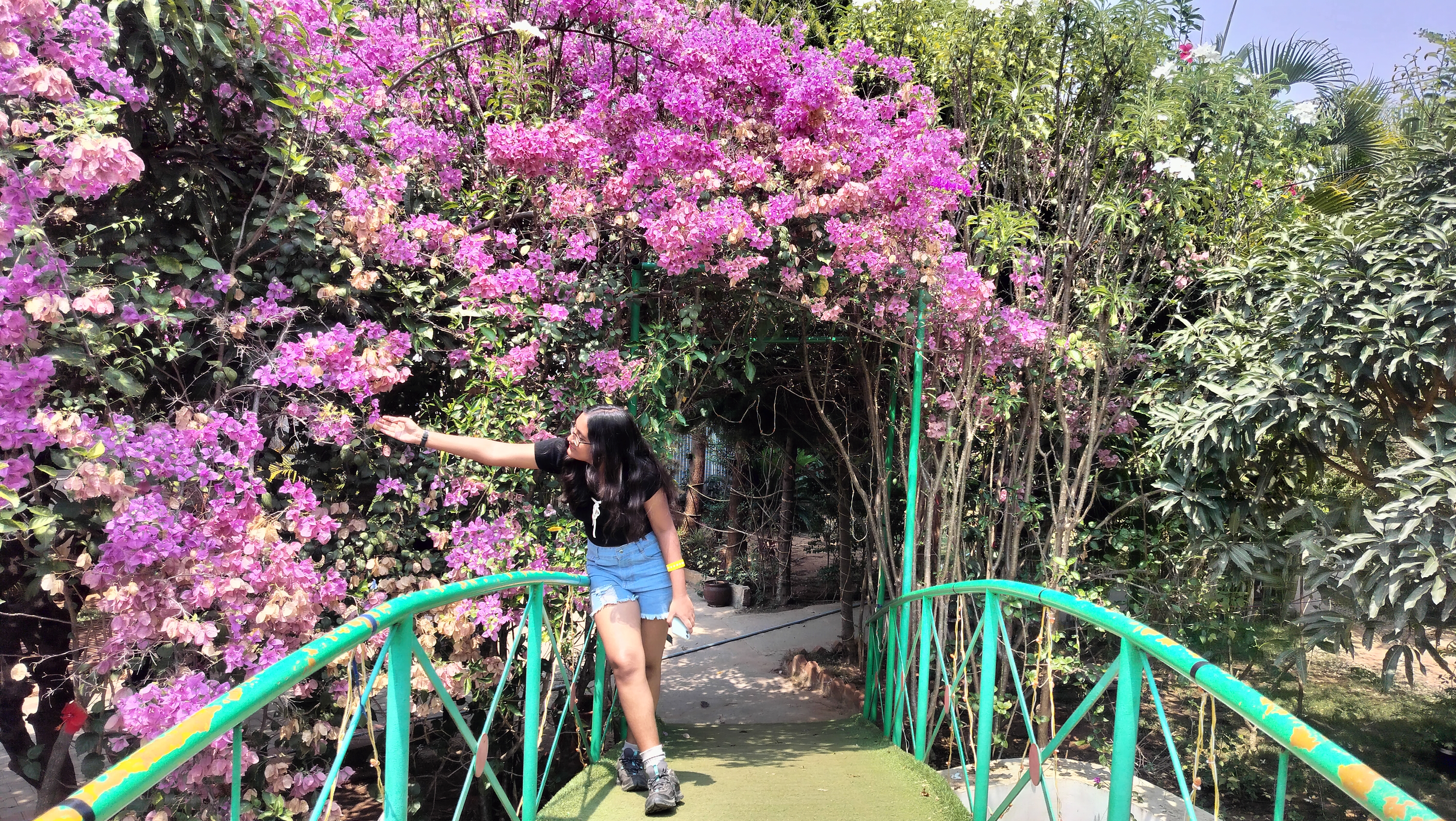 Beautiful flowers in Suggee Resort 